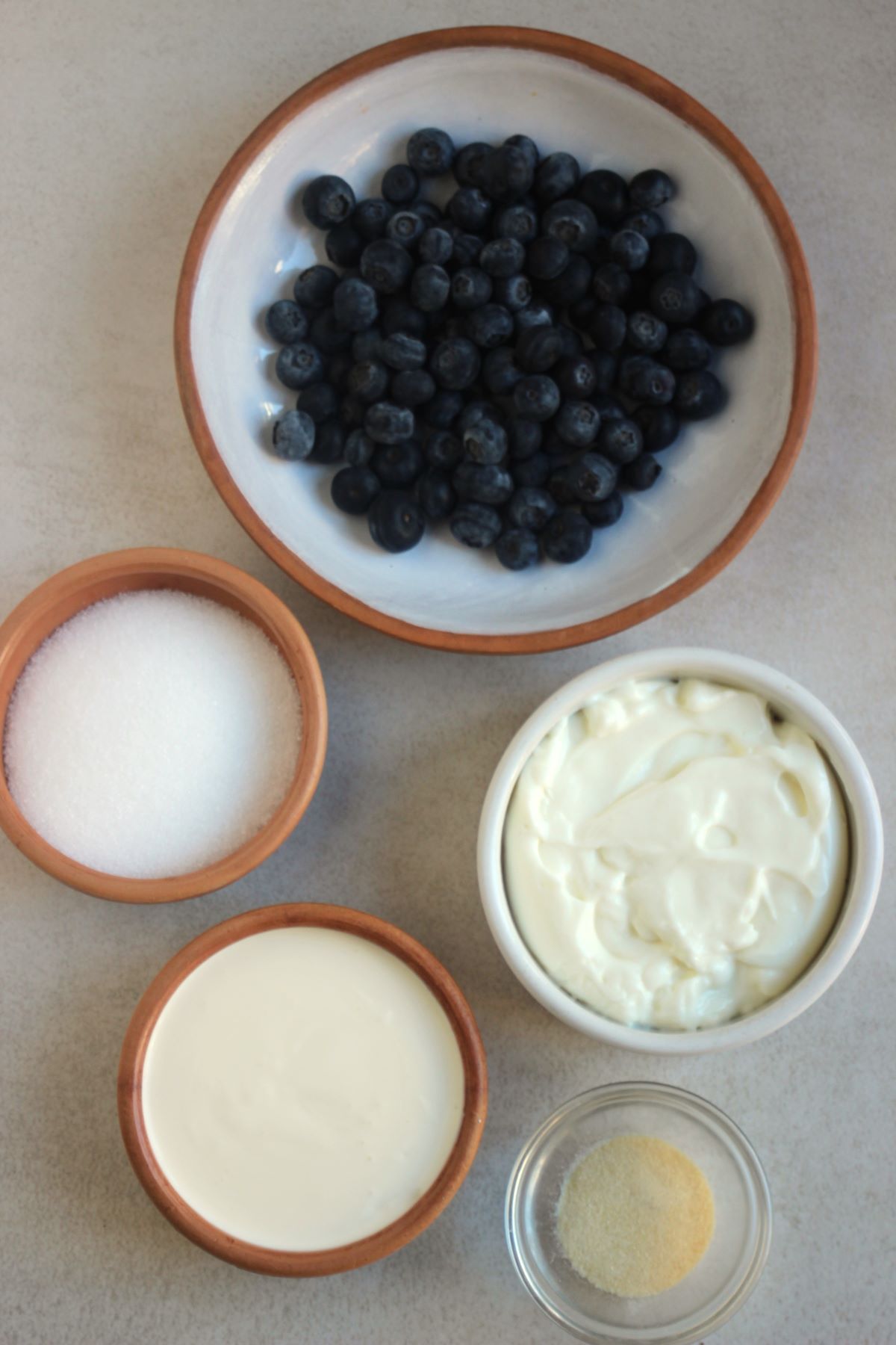Blueberry panna cotta ingredients on a white surface seen from above.