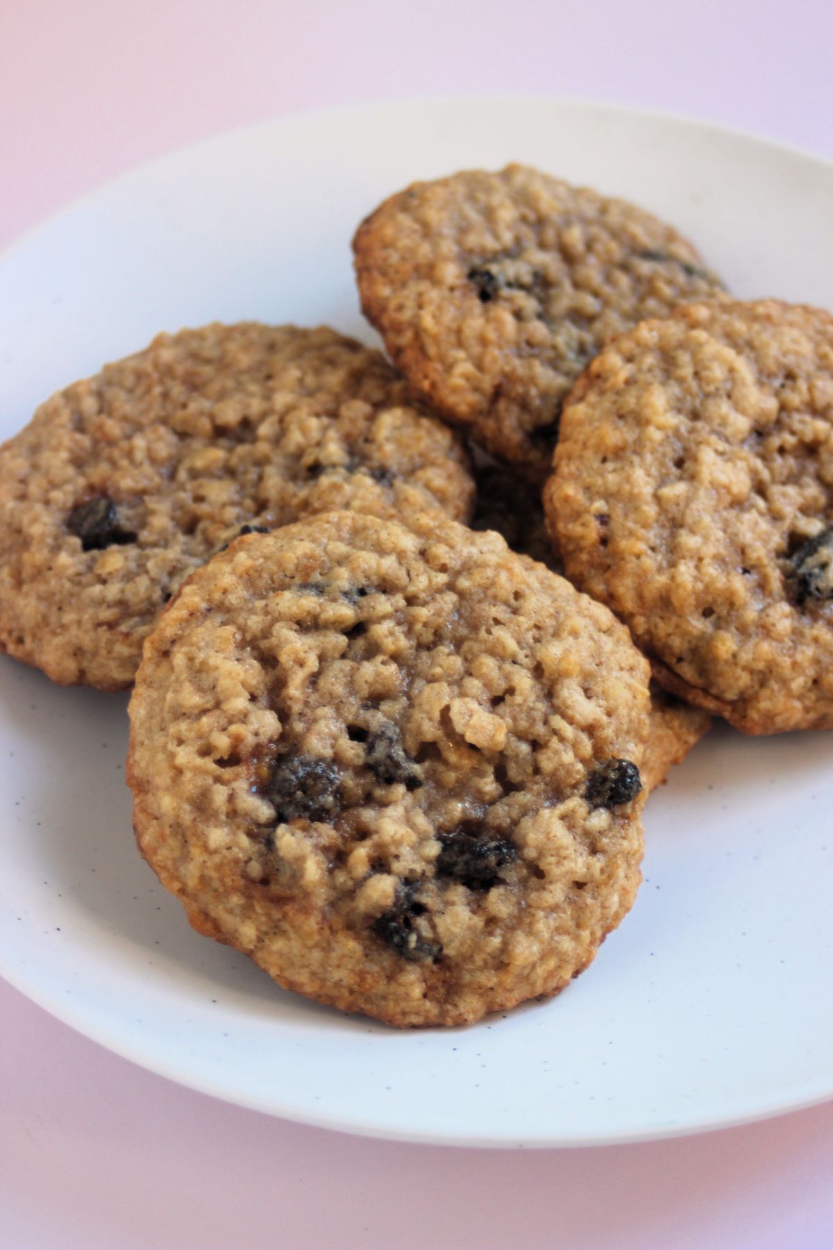 Oatmeal raisin cookies on a white plate.