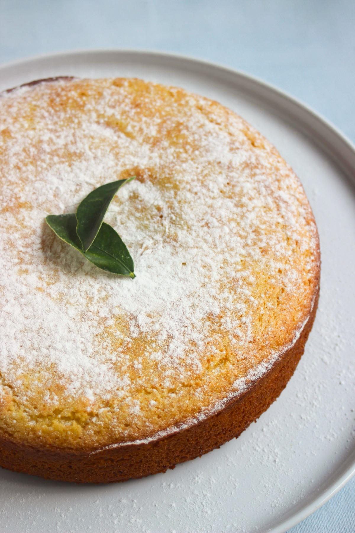 Orange cake on a white plate.