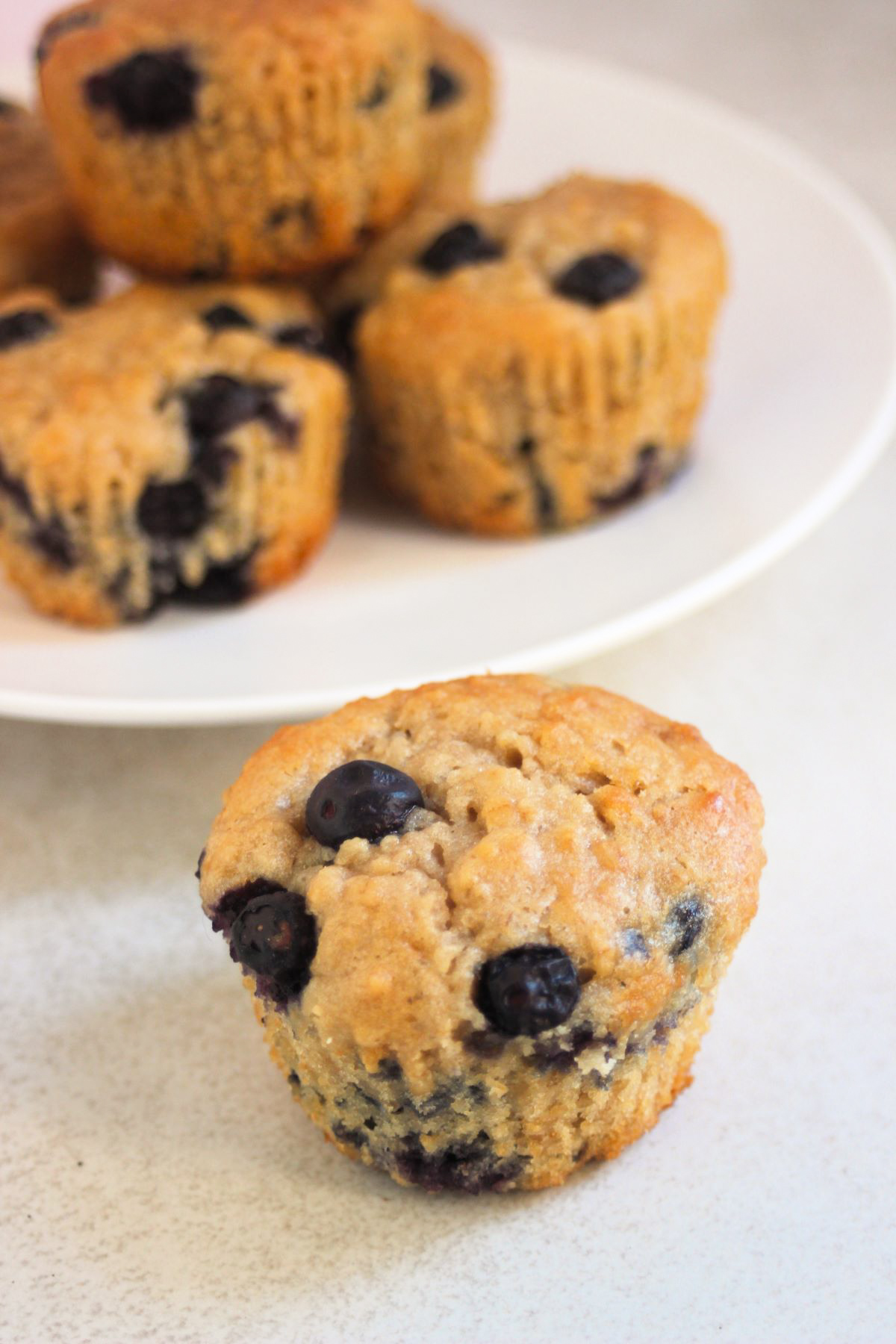 An oatmeal blueberry muffin and more muffins behind on a white plate,