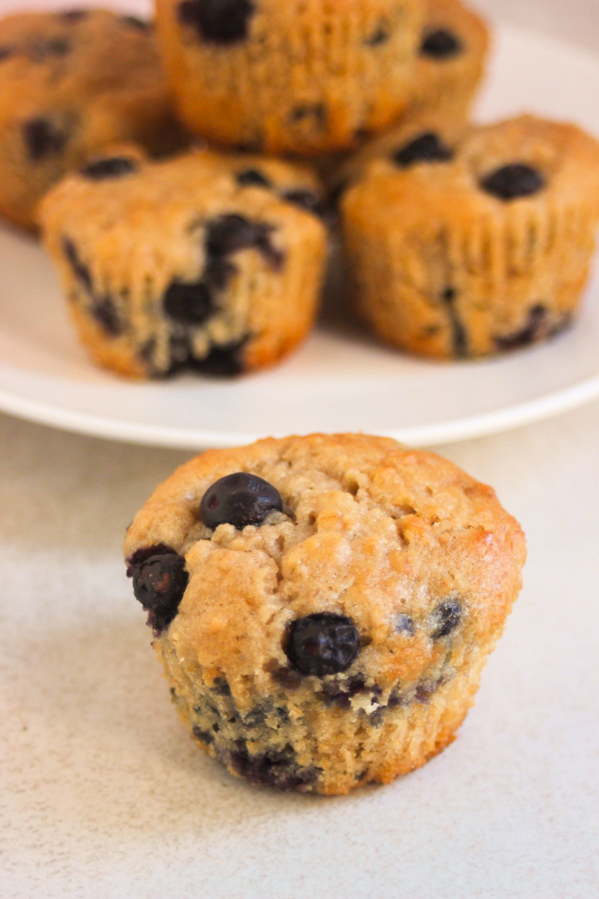 An oatmeal blueberry muffin and more muffins behind on a white plate,