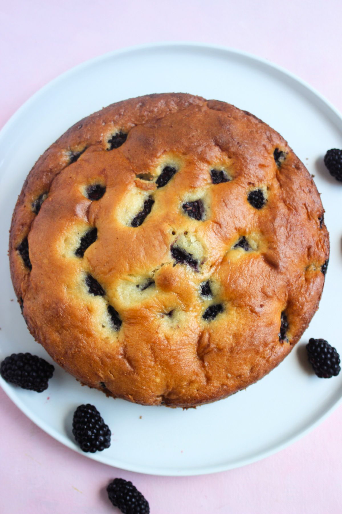 Top view of blackberry cake on a white plate. Fresh blackberries scatter around.