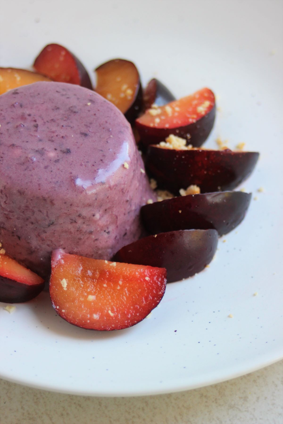 Blueberry yogurt panna cotta with fresh plums on a white plate.