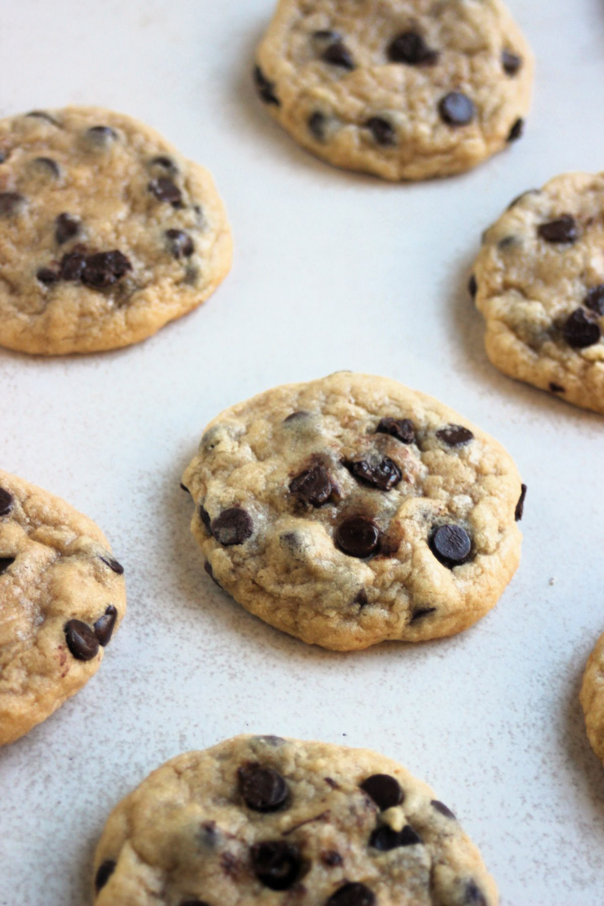 Chocolate chip cookies on a white surface.