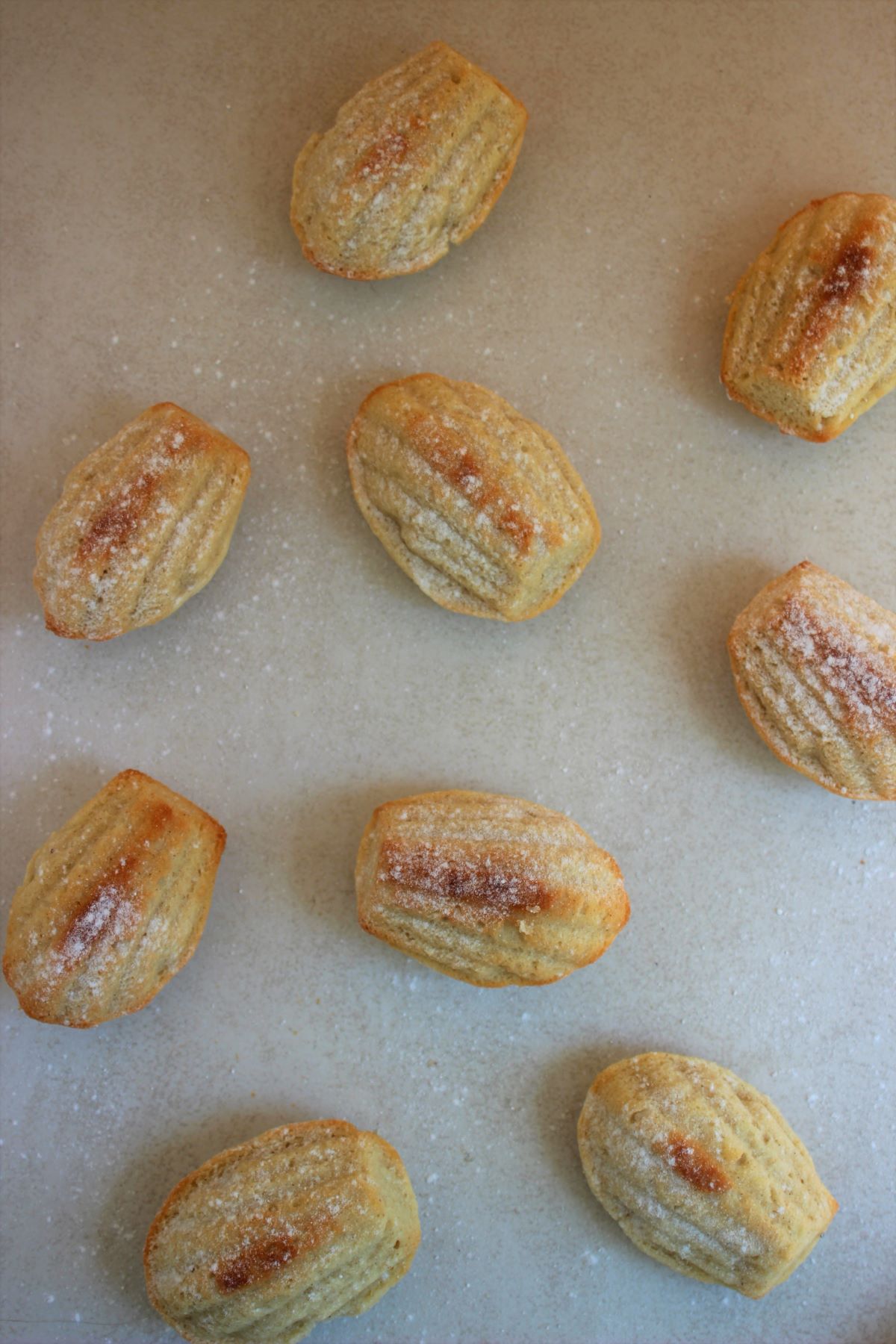 Many madeleines on a white surface seen from above.