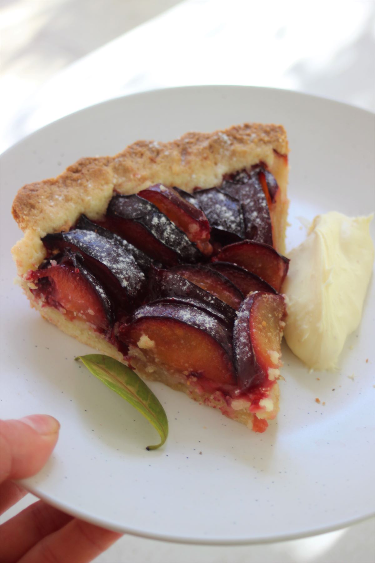 Portion of plum tart with whipped cream on a white plate.