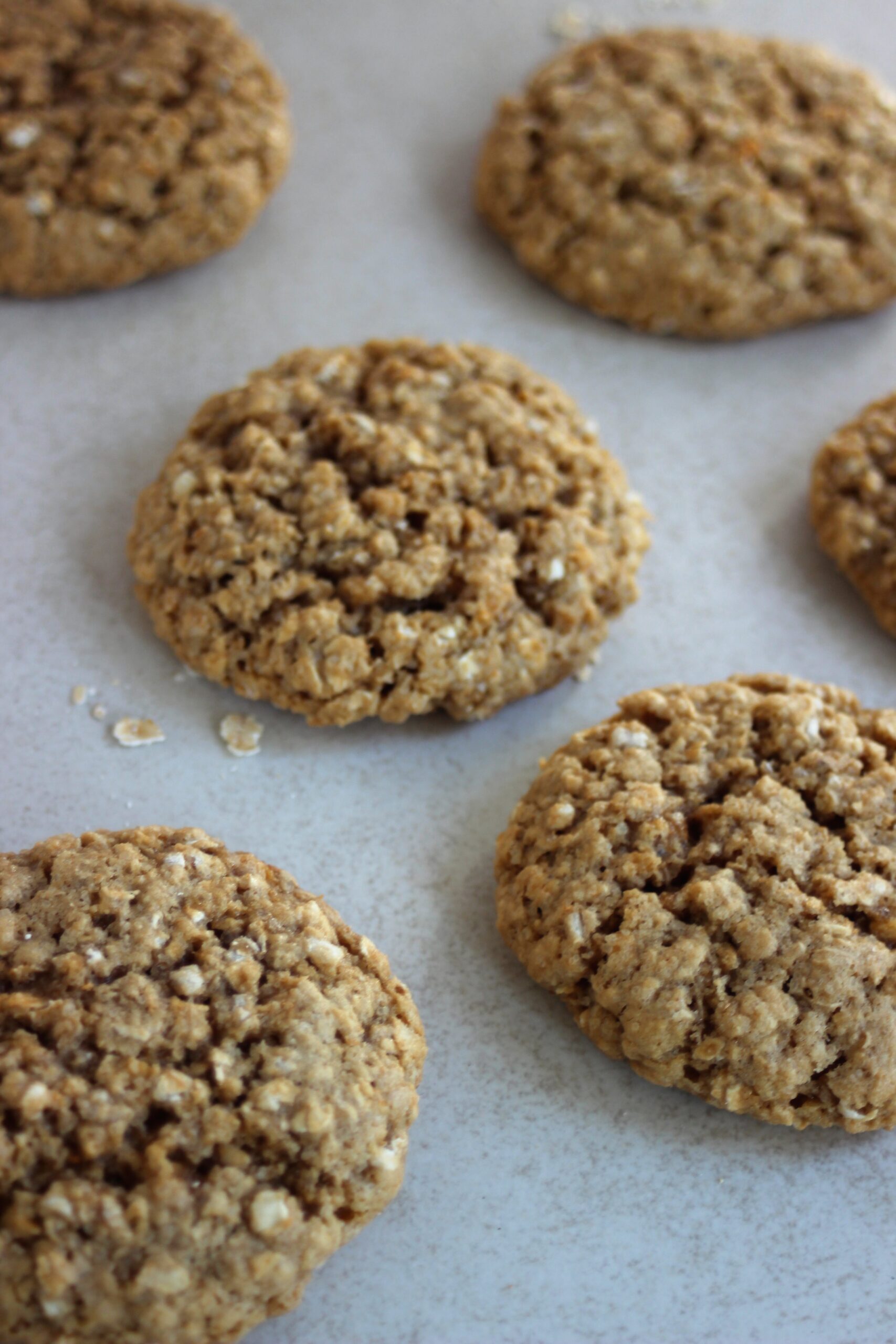 Oat peanut butter cookies on a white surface.