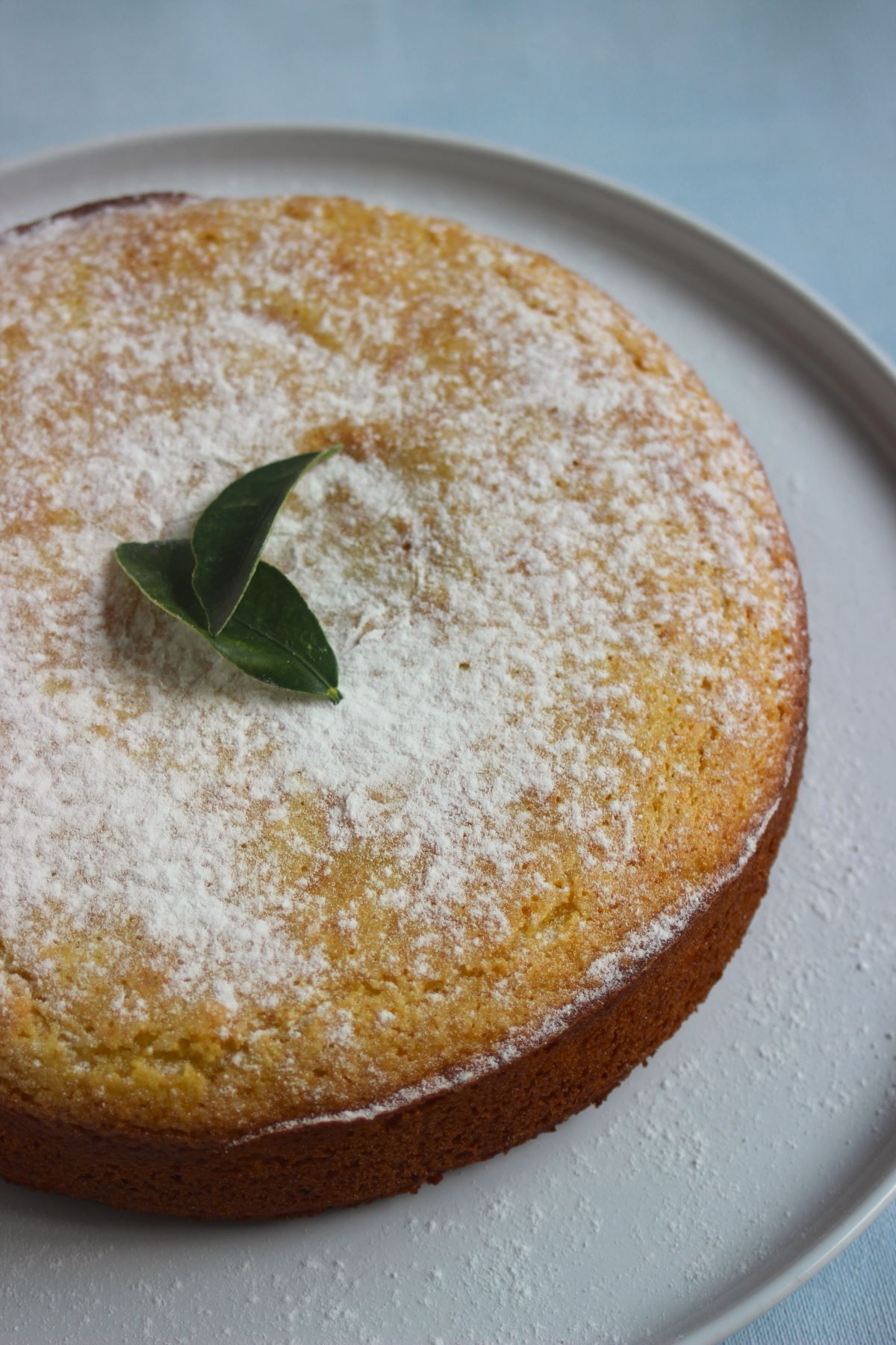 Orange cake on a white plate.