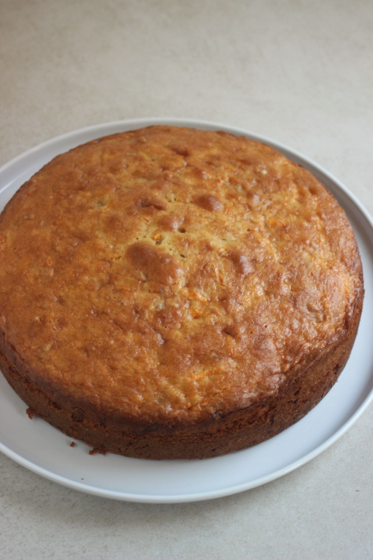 Carrot cake without cream cheese frosting on a white plate.