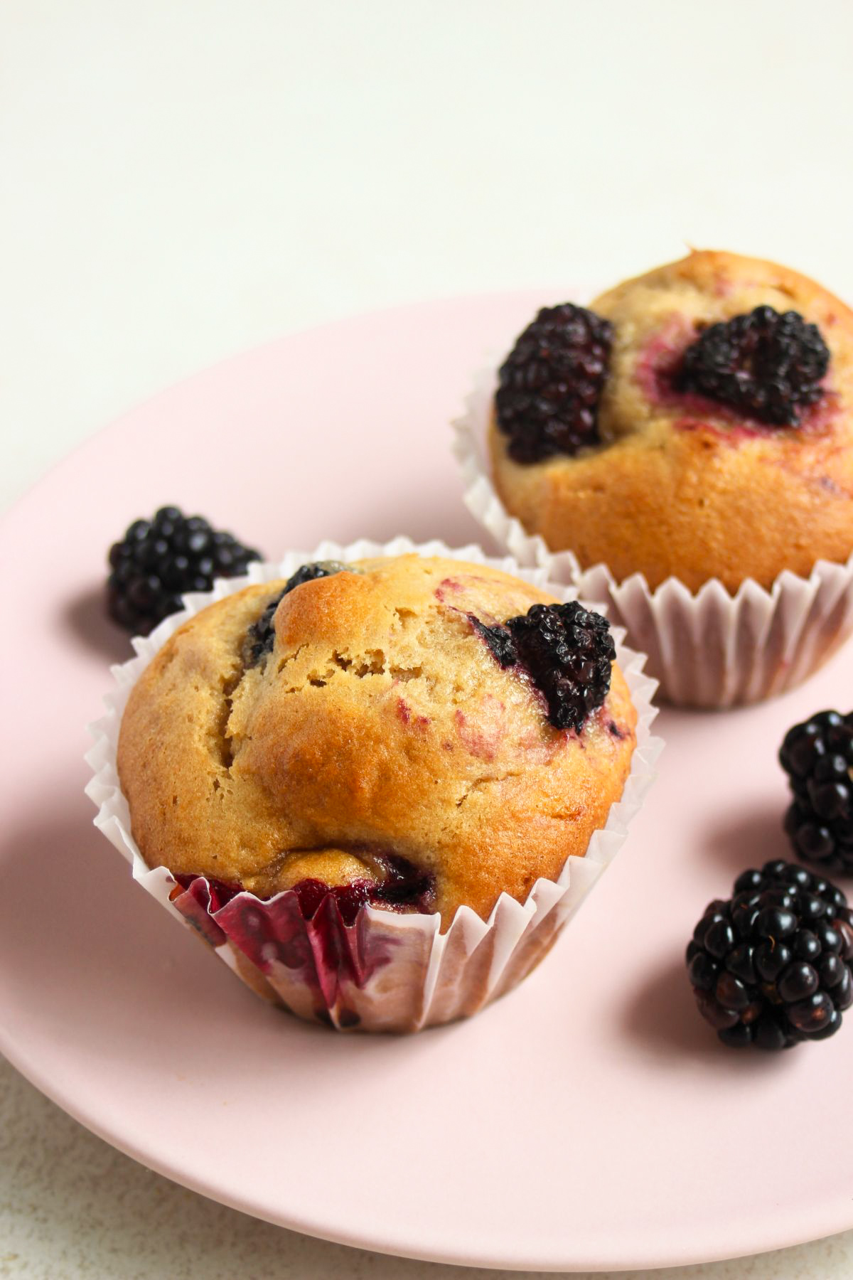 Two blackberry muffins with liners on a pink plate. Fresh blackberries on the sides.