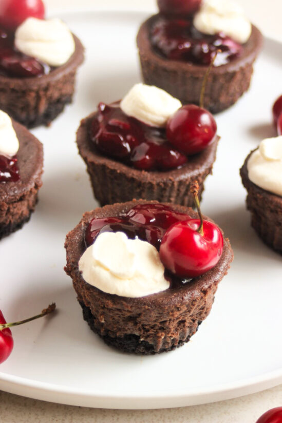 Mini black forest cheesecakes with cherry topping, whipped cream, and fresh cherries on a white plate.